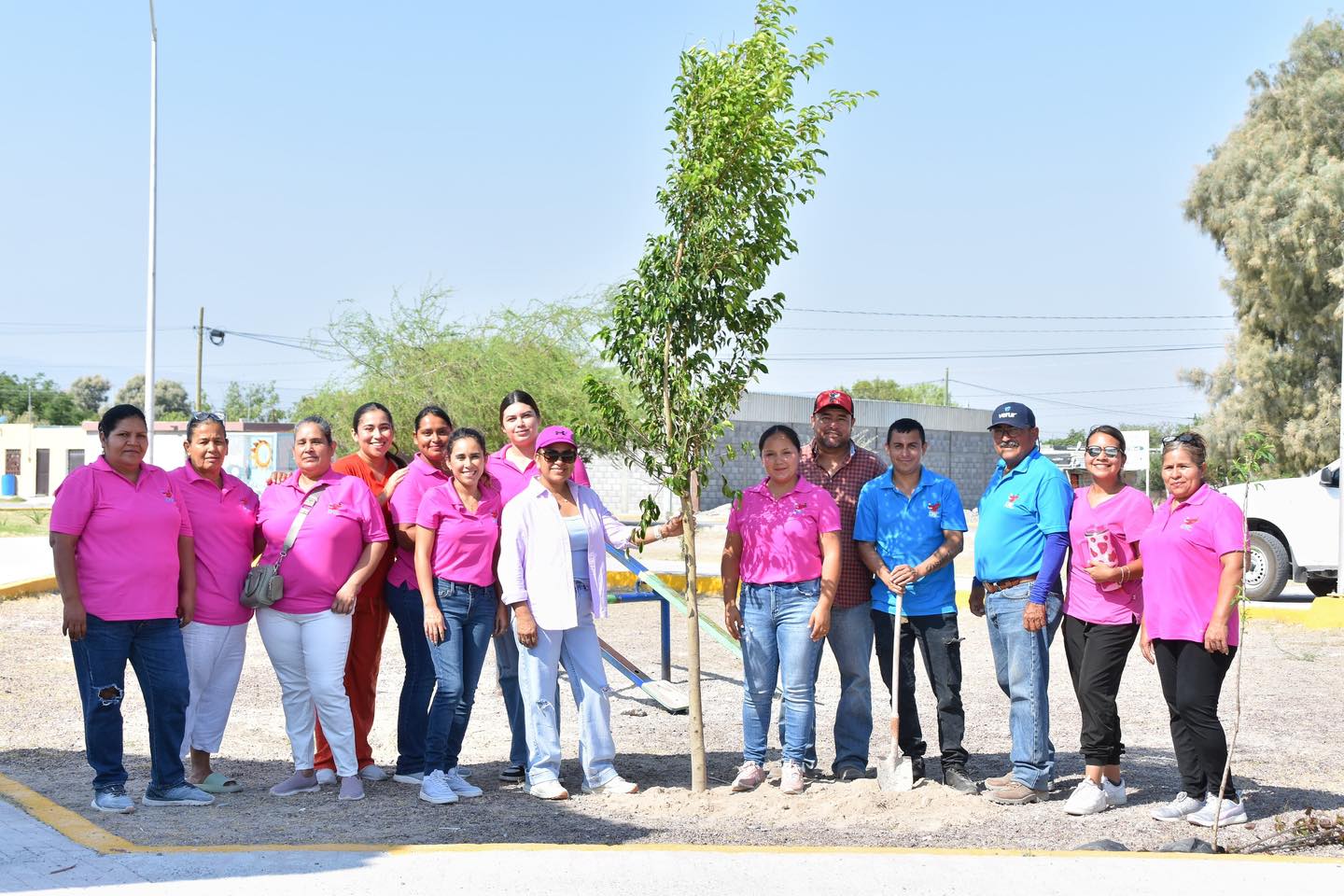 >REFORESTA DIF MUNICIPAL PLAZA DE LA COLONIA MAGDALENAS